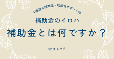 補助金とは何ですか？