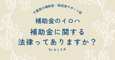 補助金に関する法律ってありますか？